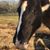 Robin Neeley's profile image