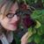 Caroline Beeland's profile image