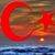 Oktay Saglik's profile image