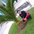 Hakim Zizo's profile image