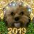 Susan Bowman's profile image