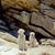 Debbie Leukhardt's profile image