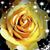 Erin Moen's profile image
