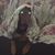 Tim Chorba's profile image