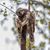 Tim Gustin's profile image