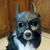 Stacy McNab's profile image
