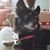 Leann Brackney's profile image