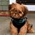 Betty Brown's profile image