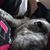 Tina Anne Stiles Bryant's profile image
