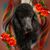 Rhonda Scallan's profile image