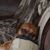 RichandNanc Engel's profile image