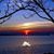 Susan Scott Ricci's profile image