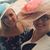 Judie Gualeni Thomas's profile image