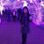 Amparo Lopez's profile image