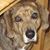 Mary Cash's profile image