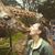 Megan McClenny's profile image