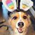 Ashley Lail's profile image