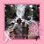 Linda Davison's profile image