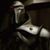 Martin Ozolins's profile image
