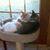 David Woodard's profile image