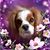Carla Trotter's profile image
