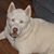 Wendy Arnold's profile image