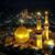 Rida Bhimani's profile image