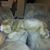 Ray Obel's profile image