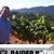 Dustin Miller's profile image