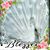 Debbie Anderson's profile image