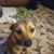 Aleah Grote's profile image
