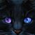 Julie Marie's profile image