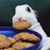 Heath Kessler's profile image