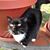 Pamela Hill Noles's profile image