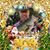 Ron Torrisi's profile image
