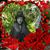 Maria Vega's profile image