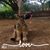 Darrin Fairley's profile image