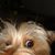 Mary E. Orlos's profile image