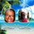 Lisa Castleberry's profile image