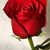 DeSharon Morris Edwards's profile image