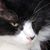 Maura Kattner Lusk's profile image