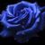 Tami Teaster Harrington's profile image