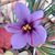 Mary Warren's profile image