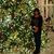Gloria Goss's profile image