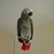 Barbara Kransteuber's profile image