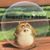 Jodi Studard Courtney's profile image