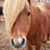 Brigid Deatherage's profile image