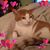 Barb Murphy's profile image