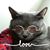 Lisa LaRusso MacGowan's profile image
