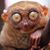 Chey Ruiz's profile image